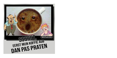 Voorbeeld